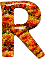 Alfabetten Oranje Letter R