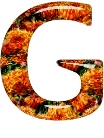 Alfabetten Oranje 