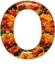 Alfabetten Oranje 