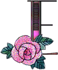 Alfabetten Paars met roos 