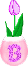 Alfabetten Tulp 