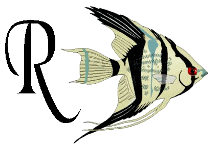 Alfabetten Vissen 2 
