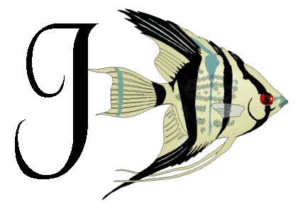 Alfabetten Vissen 2 