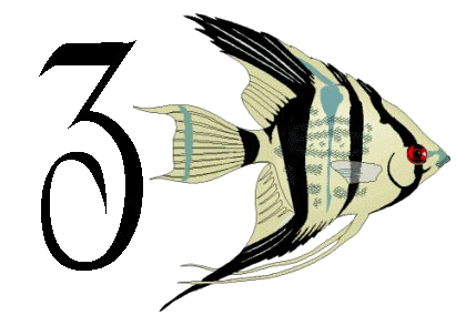 Alfabetten Vissen 2 