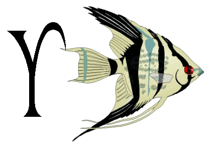 Alfabetten Vissen 2 