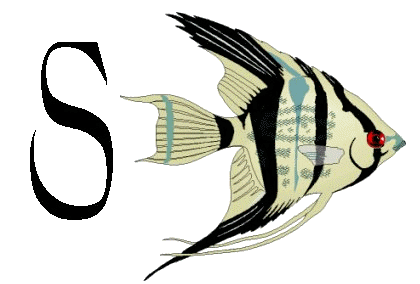 Alfabetten Vissen 2 