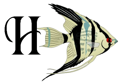 Alfabetten Vissen 2 