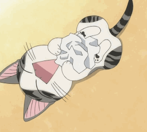 animaatjes-chi-cat-02513.gif