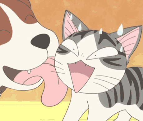 Chi animation. Аниме тискает котика. Гиф аниме котенок. Ахуетительный котёнок. Аниме котики гиф.
