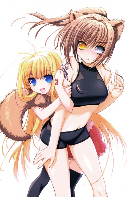 Anime Dragon crisis 