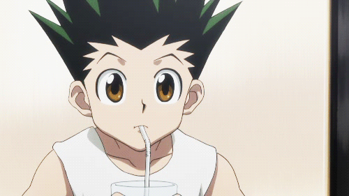 Anime Hunter x hunter 