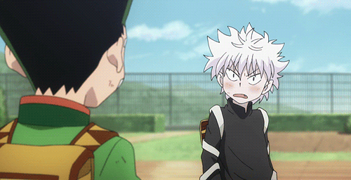 Anime Hunter x hunter 