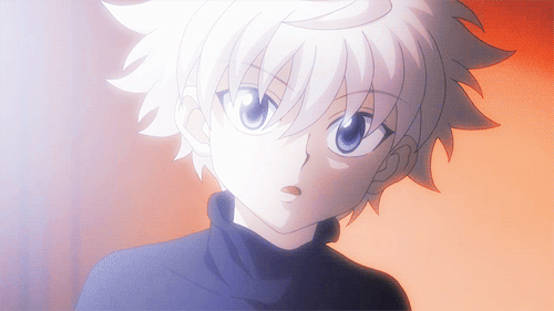 Anime Hunter x hunter 