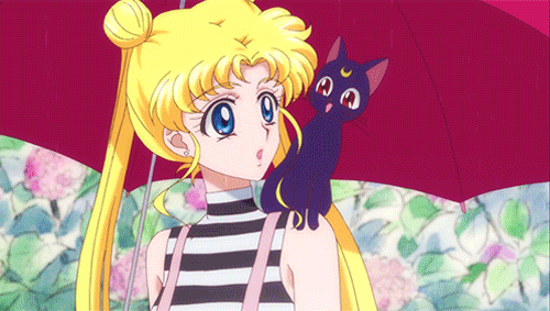Anime Sailor moon 