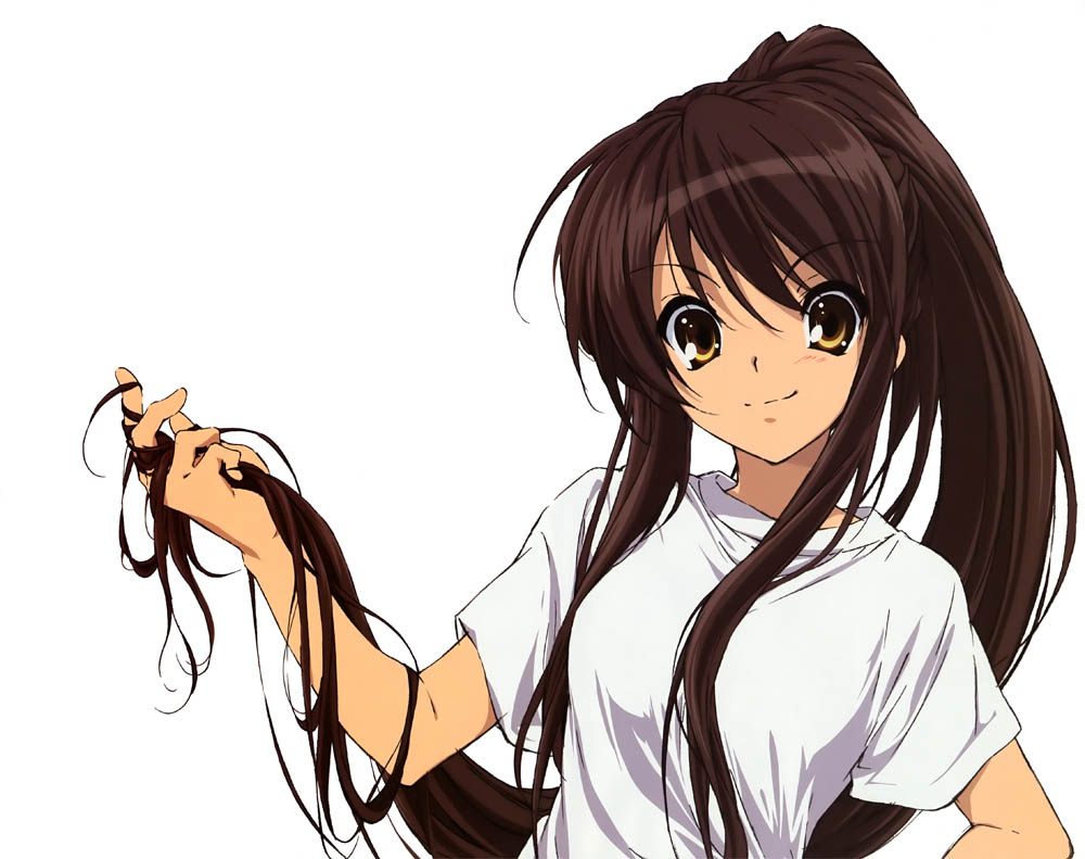 Anime the melancholy of haruhi suzumiya 
