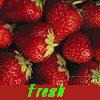 Avatars Aardbei 