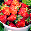 Avatars Aardbei 