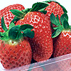 Avatars Aardbei 