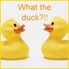 Avatars Bad eendjes What The Duck