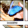 Avatars Bewegende 