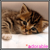 Avatars Bewegende 