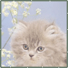 Avatars Bewegende 