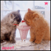 Avatars Bewegende 