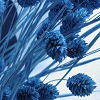 Avatars Bloemen en natuur 