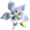 Bloemen Avatars 