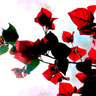 Bloemen Avatars 
