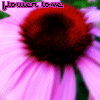 Bloemen Avatars 