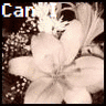 Bloemen Avatars 