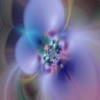 Bloemen Avatars 