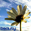 Bloemen Avatars 