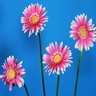 Bloemen Avatars 