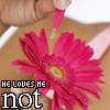 Bloemen Avatars 