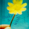 Bloemen Avatars 