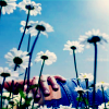 Bloemen Avatars 