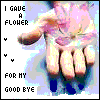 Bloemen Avatars 