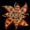 Bloemen Avatars 