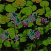 Bloemen Avatars 