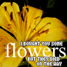 Bloemen Avatars 