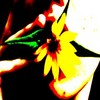Bloemen Avatars 