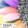 Bloemen Avatars 