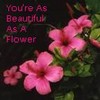 Bloemen Avatars 