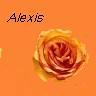 Bloemen Avatars 