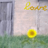 Bloemen Avatars 