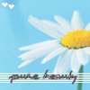 Bloemen Avatars 