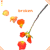 Bloemen Avatars 