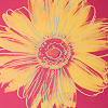 Bloemen Avatars 